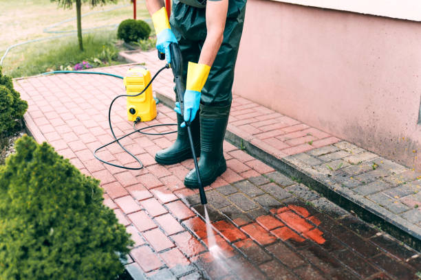 Best Sidewalk and Walkway Cleaning  in South Les, AK